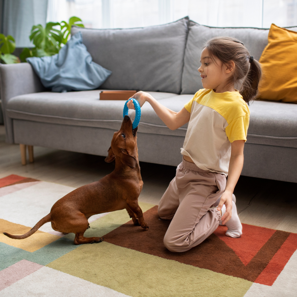 Encouraging Play and Mental Stimulation